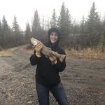 Daniel Bischke - @daniel_bischke12 - Instagram
