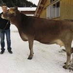Daniel Bischof - @bischof_daniel - Instagram
