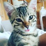 Daniel Bischoff - @danielbischoff - Instagram