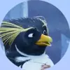 Daniel bishop - @daniel.bishop342 - TikTok
