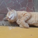 Daniel Bismark Roman Añez - @danielbismark17 - Instagram