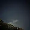 Daniele Bisogno - @danielebisogno - TikTok