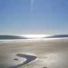 daniellebivins202 - @daniellebivins202 - TikTok