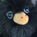 Daniel Blackstone - @dantsm4780 - Instagram