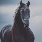 Daniel Blades - @daniel_blades123 - Instagram