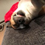 Daniel Blagg - @blagg_daniel - Instagram