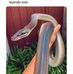 Daniel Blaise - Facebook