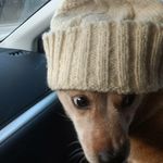 @danielblaisecampbell - Instagram