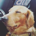 Daniel blakely - @daniel_blakely88888 - Instagram