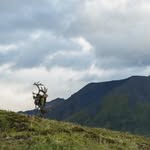 Daniel Blakemore - @blakemore_daniel - Instagram