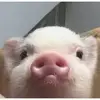Daniel Blancarte - @daniel.blancarte - TikTok