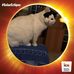 Daniela Blancato - Facebook