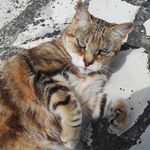 Daniel Blanchet - @daniel.blanchet.33 - Instagram