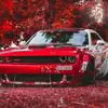 danielblanton03 - @danielblanton03 - TikTok