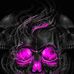 Daniel Blatter - Facebook