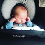 Daniel Blaylock - @daniel_and_leonidas - Instagram