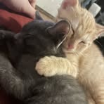 Daniel Blainey - Facebook