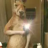 Daniel Bleaa - @daniel.bleaa - TikTok