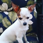 Daniel Blakney - @daniel_blakneyyy - Instagram