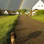 Daniel Bleicher - @dani.snop - Instagram