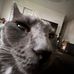 Daniel Blenman - Facebook