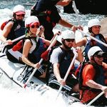 Daniel Blevins - @dblevinscinti - Instagram
