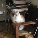 Daniel Bley - @bleydaniel - Instagram