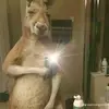 Daniel Bley - @dani.rd29 - TikTok