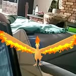 Daniël B - @daniel_bloemen_ - Instagram