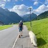 Daniël Bloem - @daniel.b30 - TikTok
