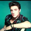 Daniel Bloomer - @goldinfoxyoc - TikTok