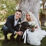 Daniel Blumberg - @daniel_blumberg - Instagram