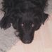 Daniel Blumer - Facebook