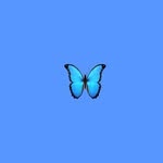 4b9 newz 🦋🦦🦋 - @danielblyz4b9 - Instagram