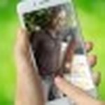 Daniel Bly - @bly_daniel - Instagram