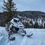 Daniel Blyth - @d.blyth03 - Instagram