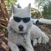 Daniel Blyth - Facebook