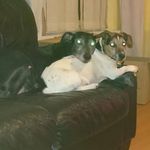 Daniel Blyth - @danielblyth03 - Instagram