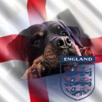 Daniel Blythe - @danbly1977 - Instagram