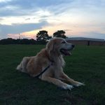 Schneider James - @daniel.boamah.7503 - Instagram