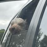 Daniel Board - @daniel.board_ - Instagram