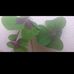 Daniel Bobb - Facebook