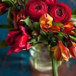 Daniel Bodea - @daniel.bodea.92505 - Instagram
