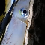 Daniel Horacio Bodenstein - @danielbodenstein - Instagram