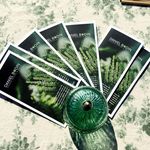 Daniel Bodin Garden Designs - @danielbodingarden - Instagram