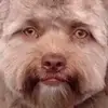 danielbodypillow - @danielbodypillow - TikTok