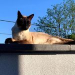 Daniel Boehmer - @boehmer_daniel - Instagram
