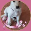 Daniel Boespflug - @daniel.boespflug - TikTok