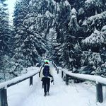 Daniel Bogacz - @beebee19k6 - Instagram