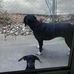 Dan Bogenreif - Facebook